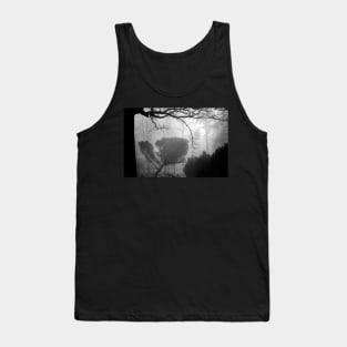 Leaning pine in a foggy wood Tank Top